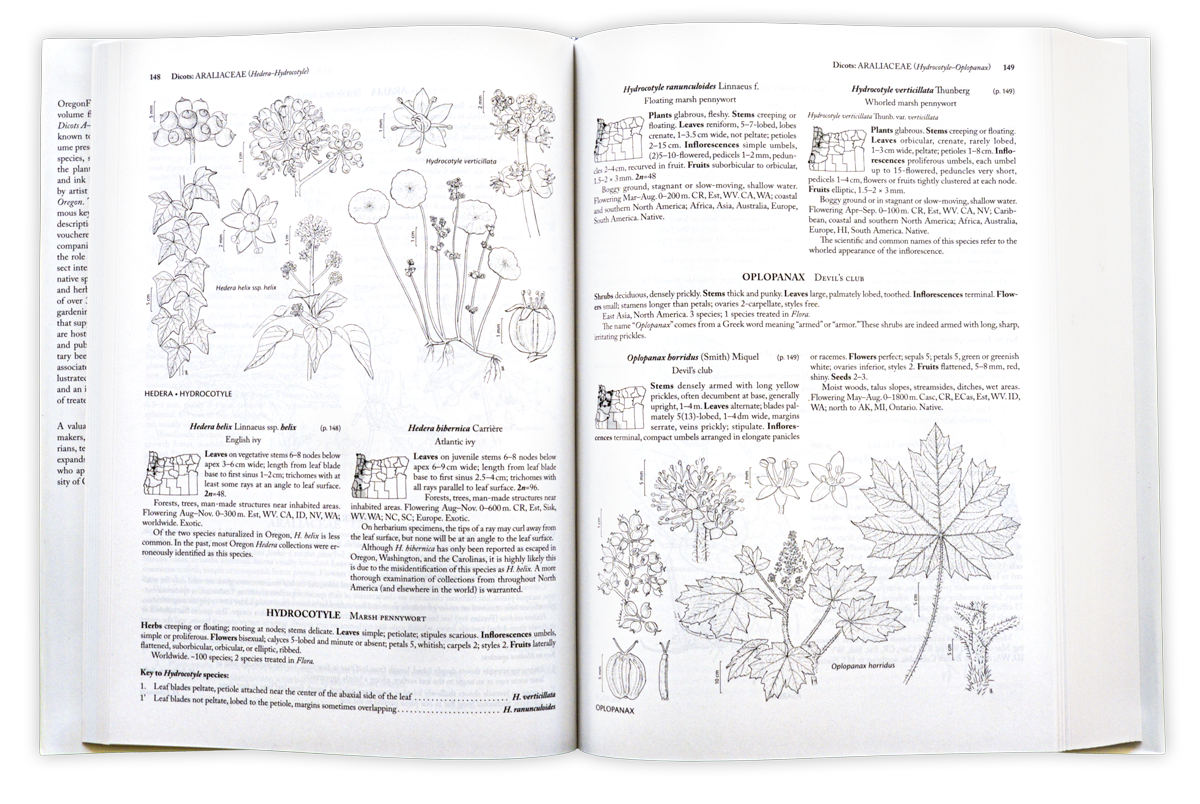 Sample pages from Oregon Flora