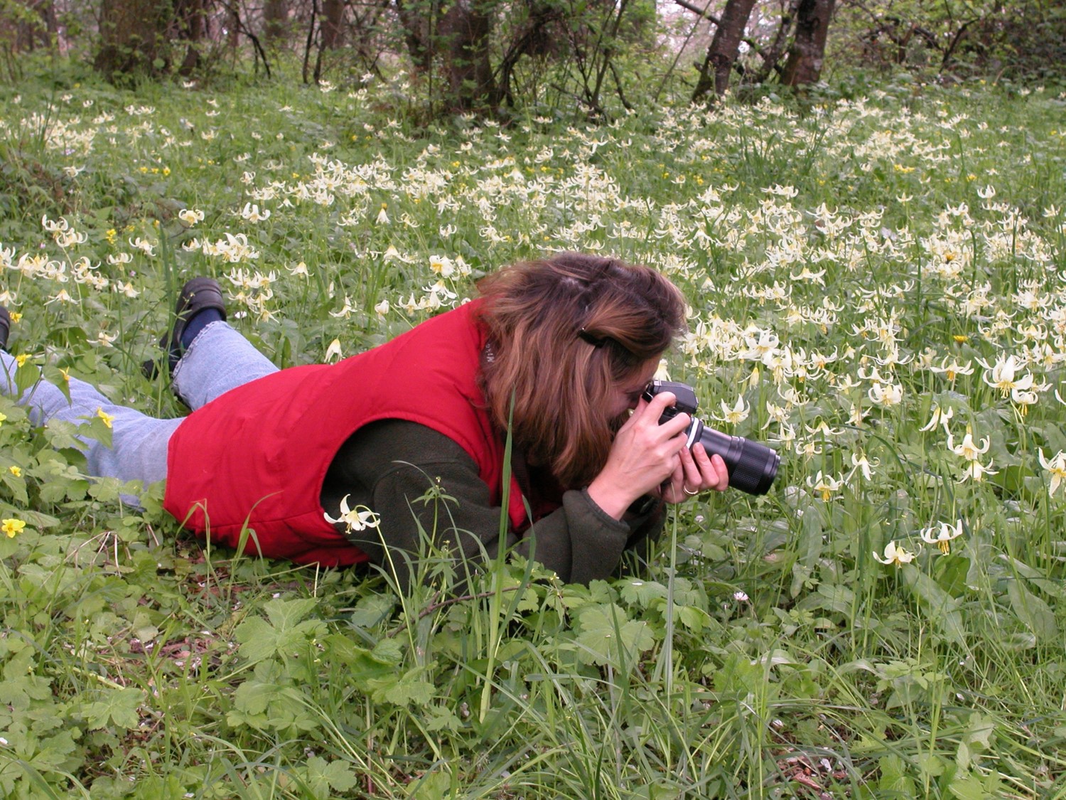 Photographing a flower