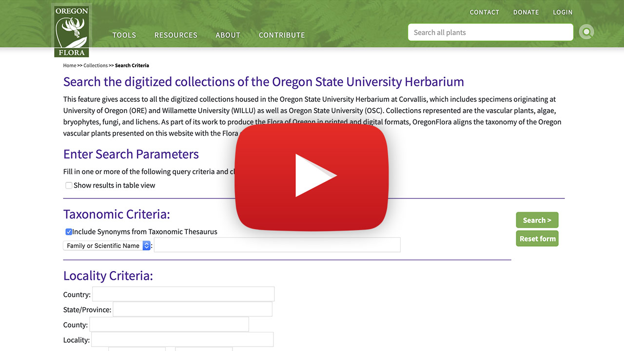 herbarium video